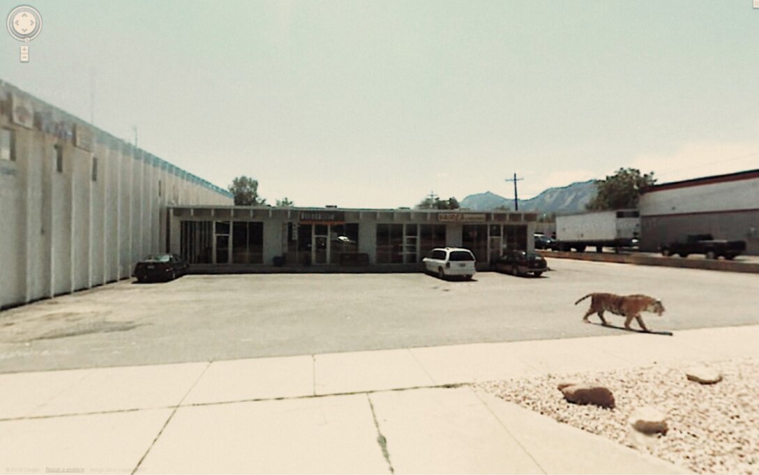 Um tigre no Google Street View